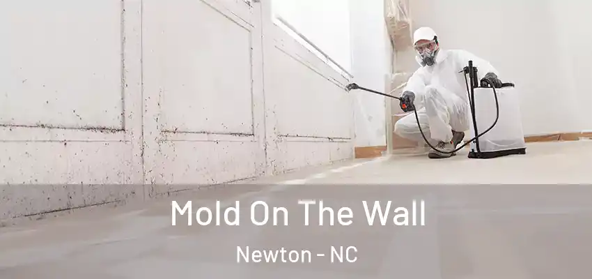 Mold On The Wall Newton - NC