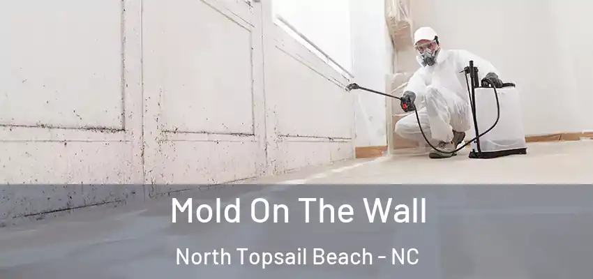  Mold On The Wall North Topsail Beach - NC