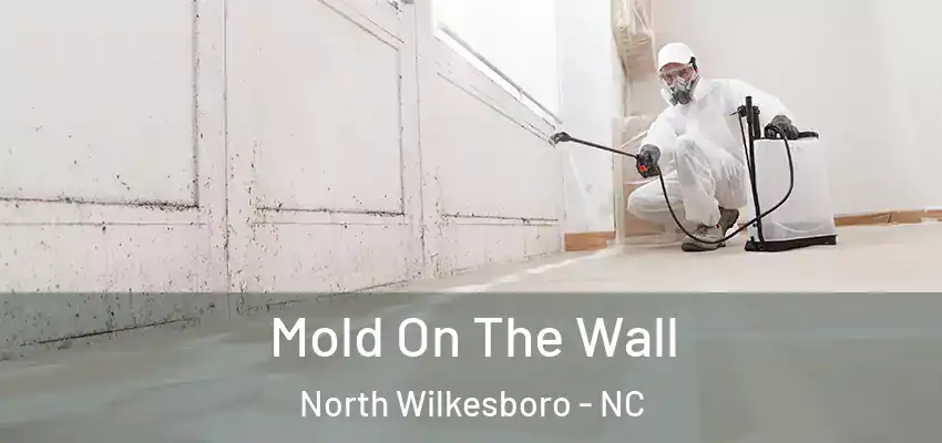  Mold On The Wall North Wilkesboro - NC