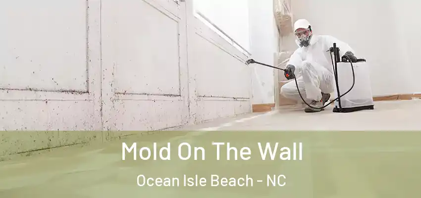 Mold On The Wall Ocean Isle Beach - NC
