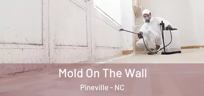  Mold On The Wall Pineville - NC