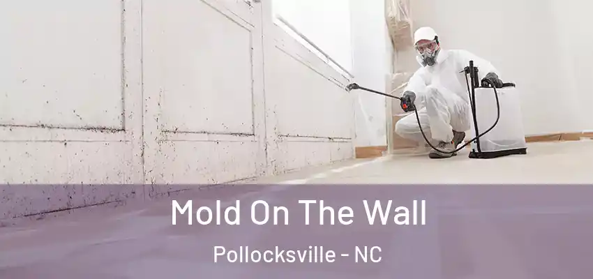  Mold On The Wall Pollocksville - NC