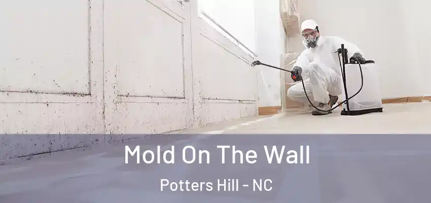  Mold On The Wall Potters Hill - NC