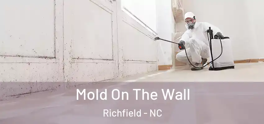 Mold On The Wall Richfield - NC