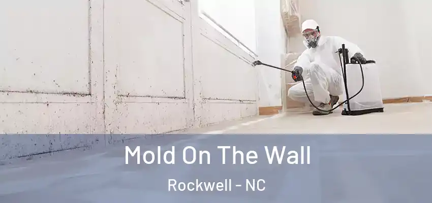 Mold On The Wall Rockwell - NC