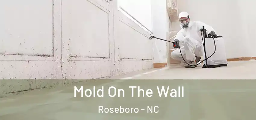 Mold On The Wall Roseboro - NC