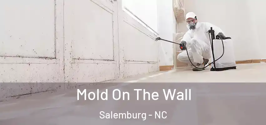 Mold On The Wall Salemburg - NC