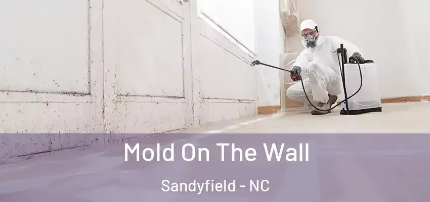Mold On The Wall Sandyfield - NC