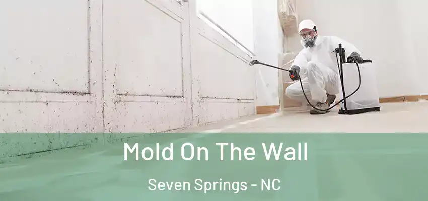  Mold On The Wall Seven Springs - NC