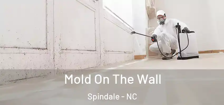 Mold On The Wall Spindale - NC
