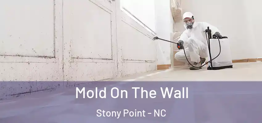 Mold On The Wall Stony Point - NC