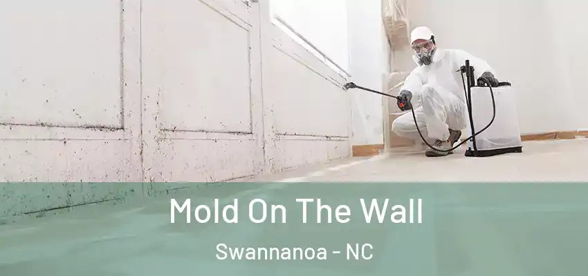  Mold On The Wall Swannanoa - NC