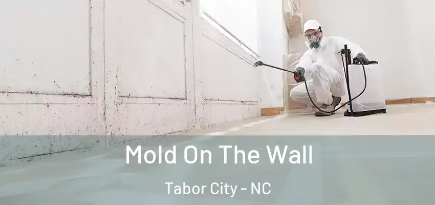 Mold On The Wall Tabor City - NC