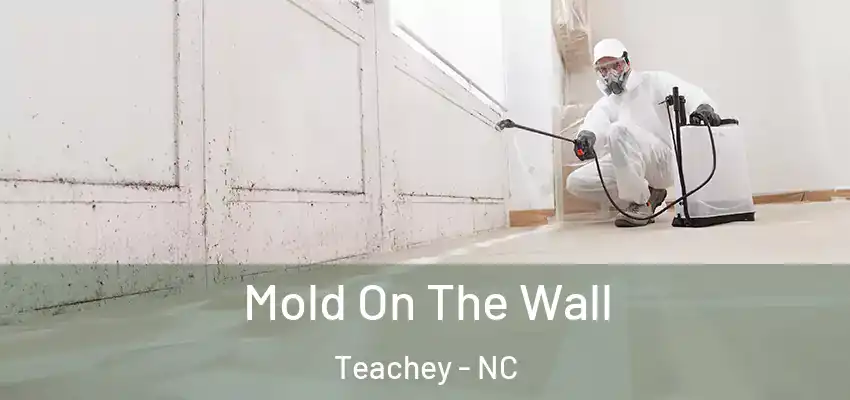  Mold On The Wall Teachey - NC