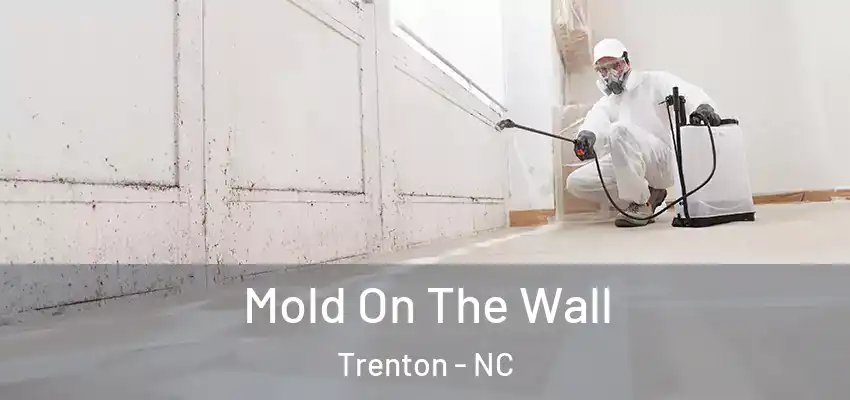  Mold On The Wall Trenton - NC