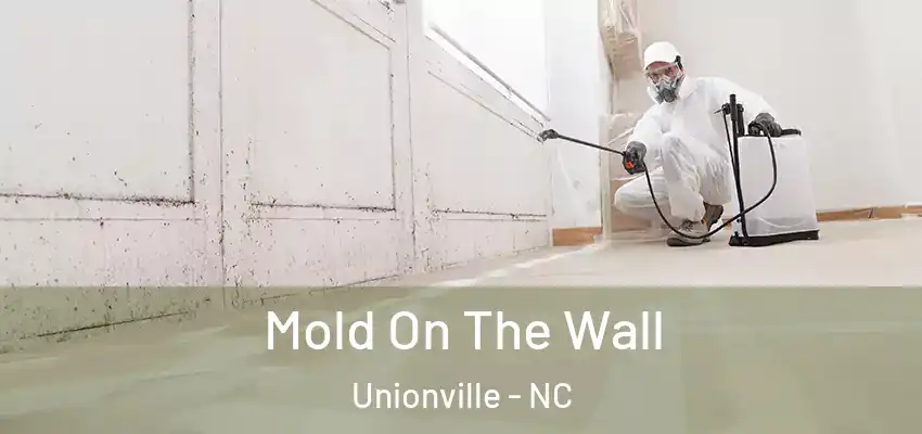 Mold On The Wall Unionville - NC