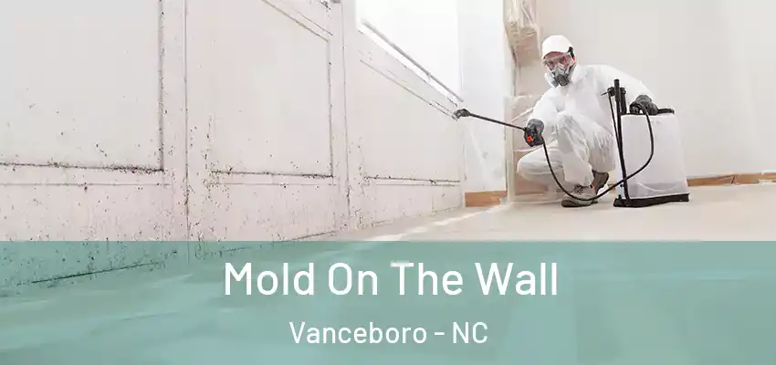 Mold On The Wall Vanceboro - NC