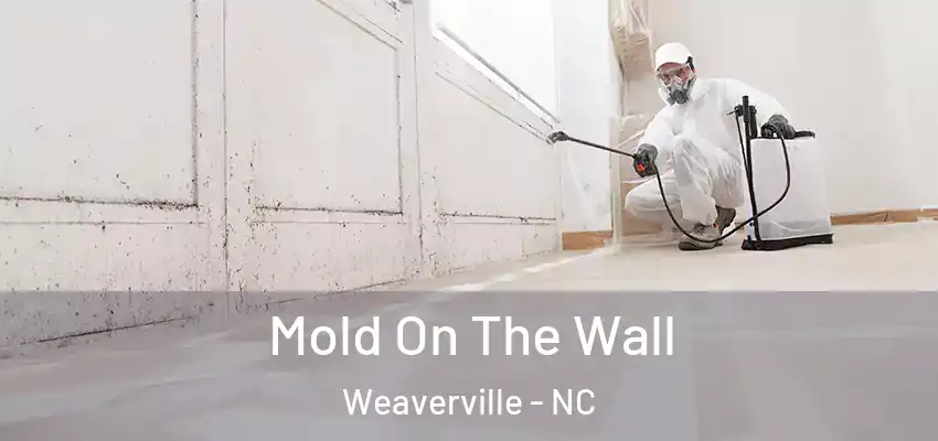  Mold On The Wall Weaverville - NC