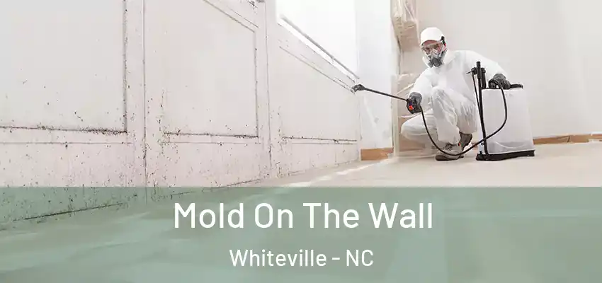  Mold On The Wall Whiteville - NC