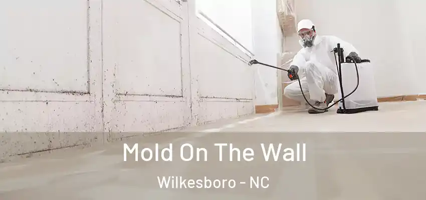  Mold On The Wall Wilkesboro - NC