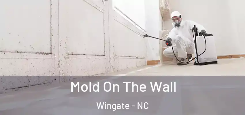 Mold On The Wall Wingate - NC