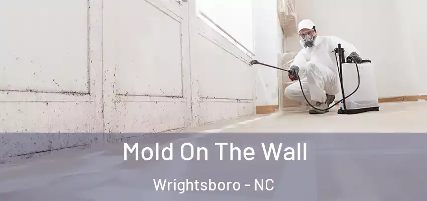 Mold On The Wall Wrightsboro - NC