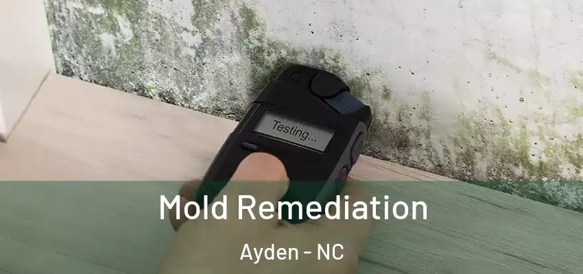  Mold Remediation Ayden - NC