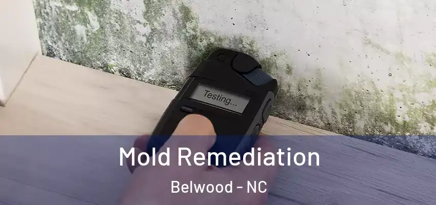 Mold Remediation Belwood - NC