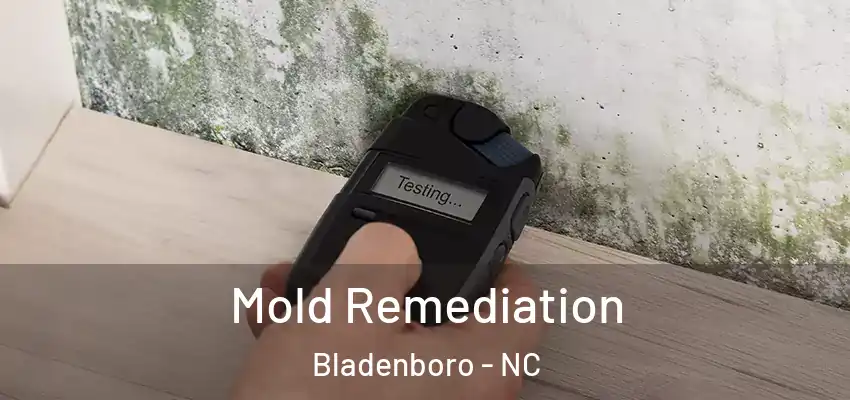 Mold Remediation Bladenboro - NC