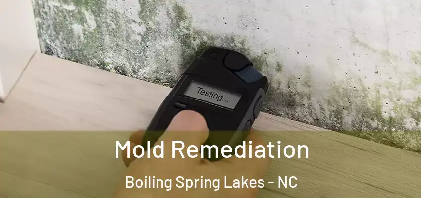  Mold Remediation Boiling Spring Lakes - NC