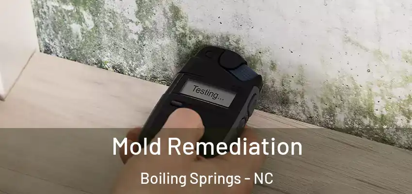  Mold Remediation Boiling Springs - NC