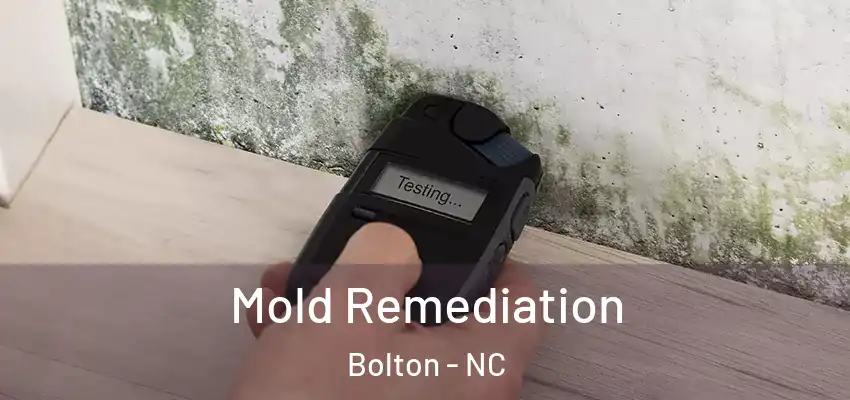  Mold Remediation Bolton - NC