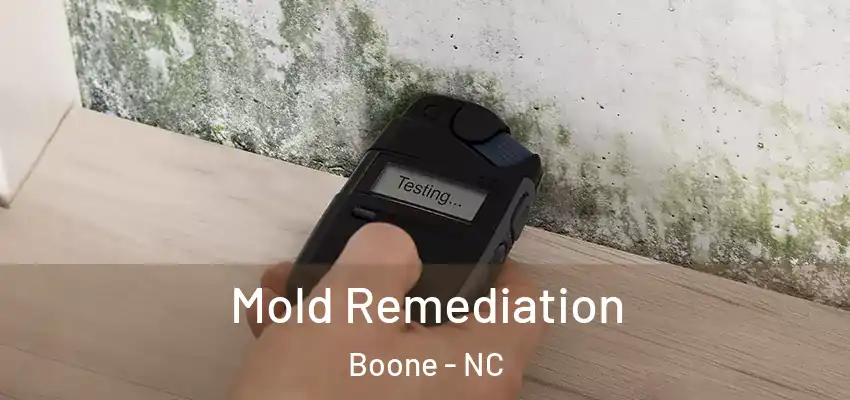 Mold Remediation Boone - NC