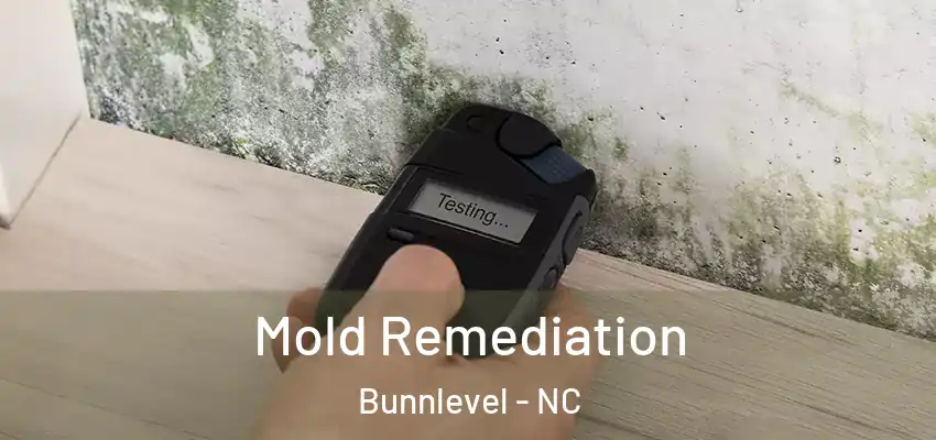 Mold Remediation Bunnlevel - NC