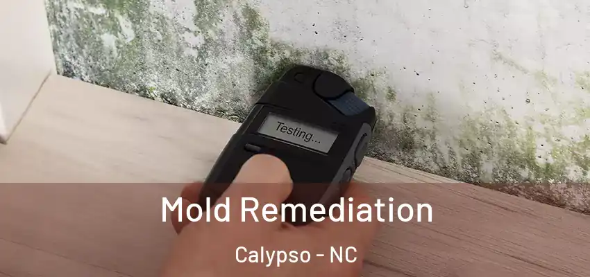 Mold Remediation Calypso - NC