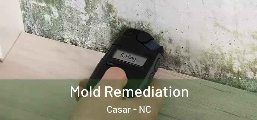  Mold Remediation Casar - NC