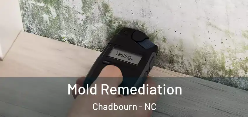  Mold Remediation Chadbourn - NC