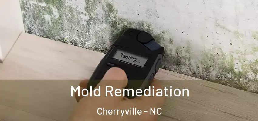  Mold Remediation Cherryville - NC