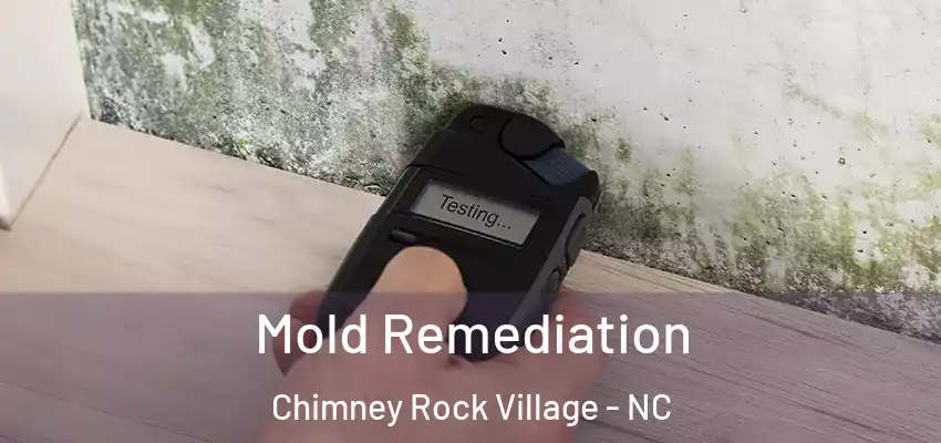  Mold Remediation Chimney Rock Village - NC