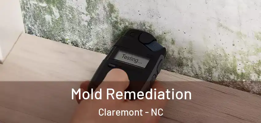 Mold Remediation Claremont - NC