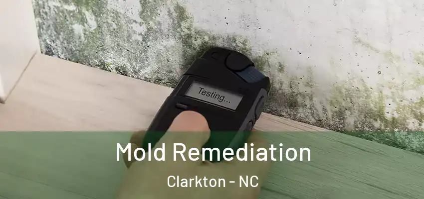  Mold Remediation Clarkton - NC