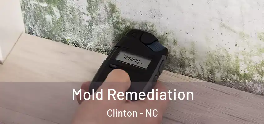  Mold Remediation Clinton - NC