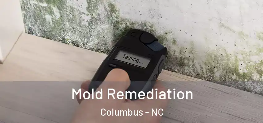 Mold Remediation Columbus - NC