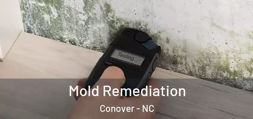  Mold Remediation Conover - NC