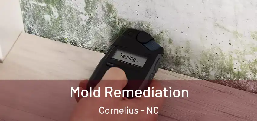 Mold Remediation Cornelius - NC