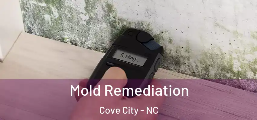 Mold Remediation Cove City - NC