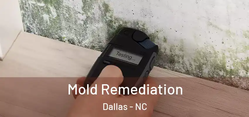 Mold Remediation Dallas - NC