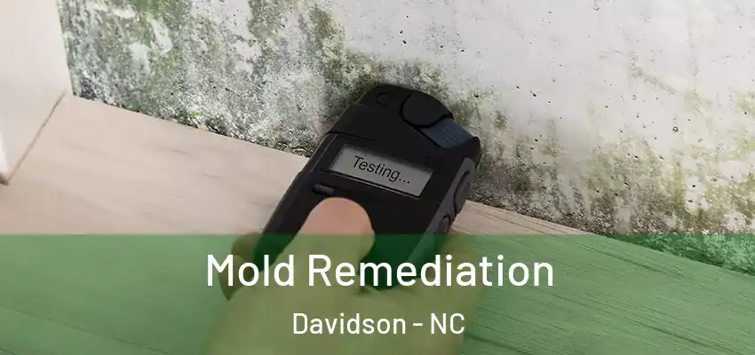 Mold Remediation Davidson - NC