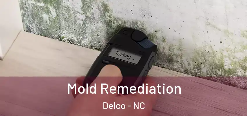 Mold Remediation Delco - NC