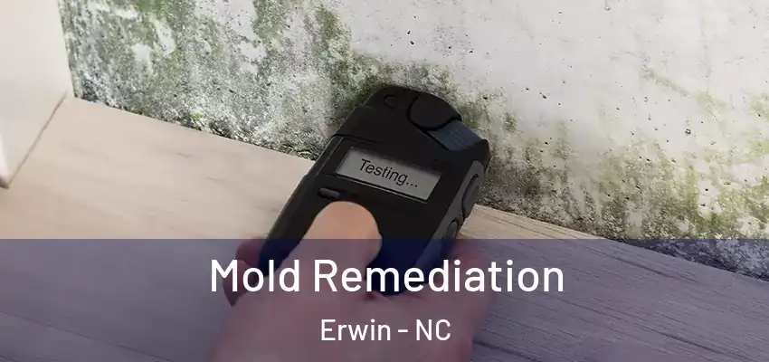  Mold Remediation Erwin - NC